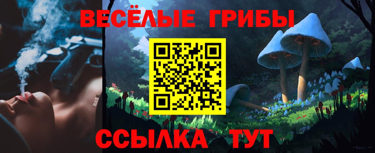 Псилоцибиновые грибы GOLDEN TEACHER  Псилоцибиновые грибы Magic Shrooms  Назарово  Вход с VPN 